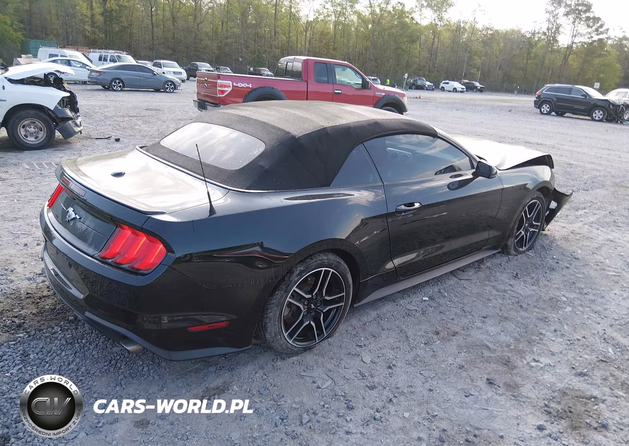 2019 Ford Mustang Ecoboost Premium VIN:1FATP8UH7K5158287 - 4