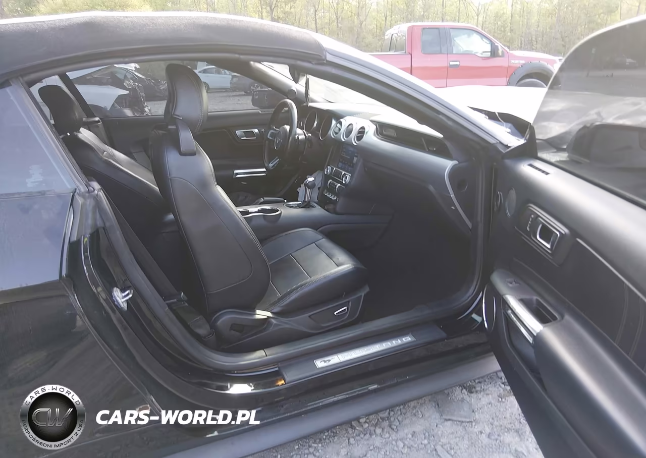 2019 Ford Mustang Ecoboost Premium VIN:1FATP8UH7K5158287 - 5