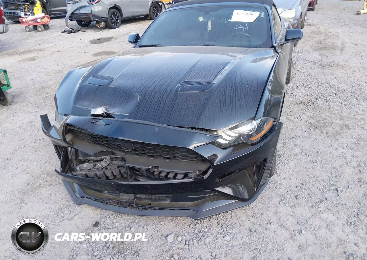 2019 Ford Mustang Ecoboost Premium VIN:1FATP8UH7K5158287 - 6