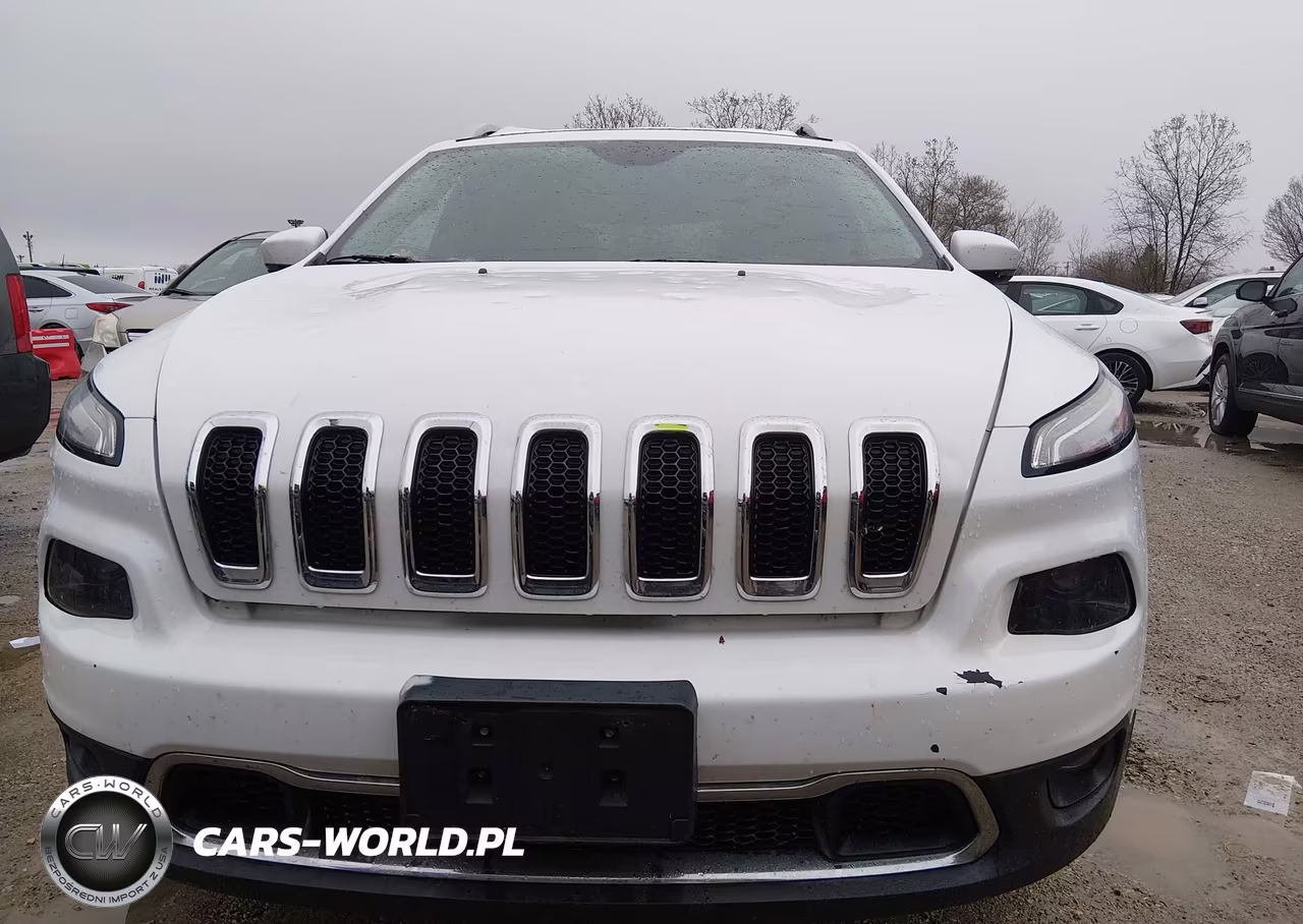 2017 Jeep Cherokee Limited 4X4 VIN:1C4PJMDS4HW509709 - 13