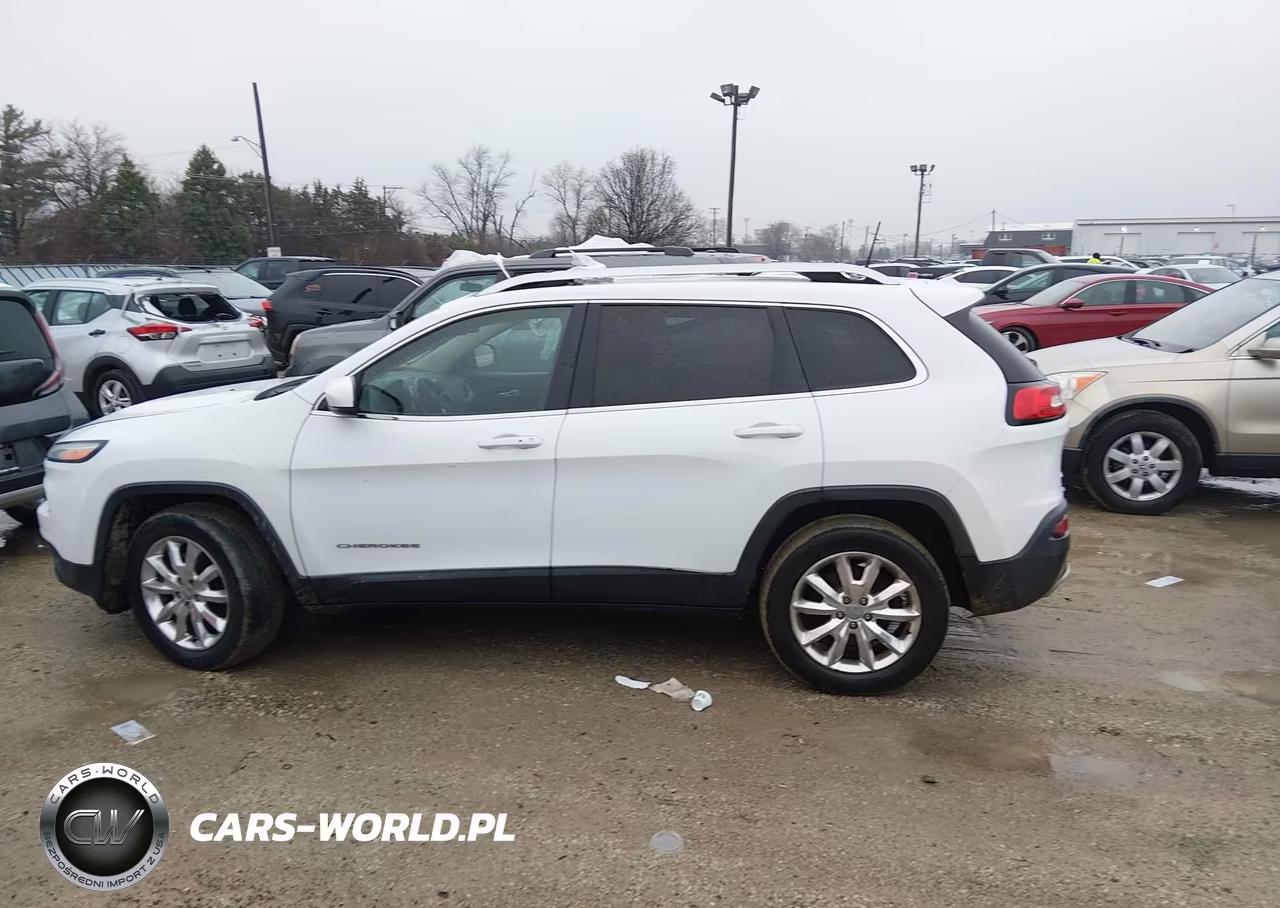 2017 Jeep Cherokee Limited 4X4 VIN:1C4PJMDS4HW509709 - 15