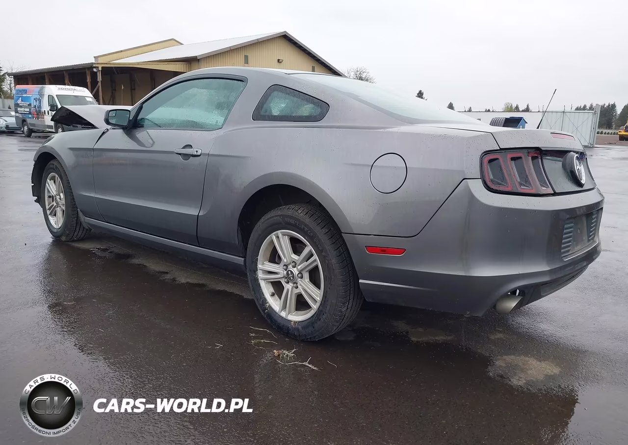 2014 Ford Mustang V6 VIN:1ZVBP8AM5E5288934 - 3