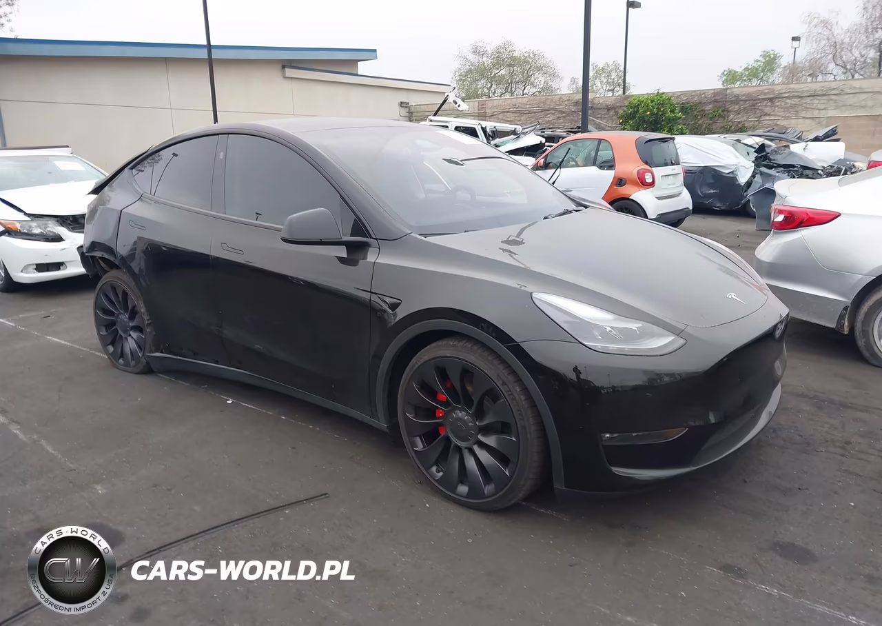 2023 Tesla Model Y Performance Dual Motor All-Wheel Drive