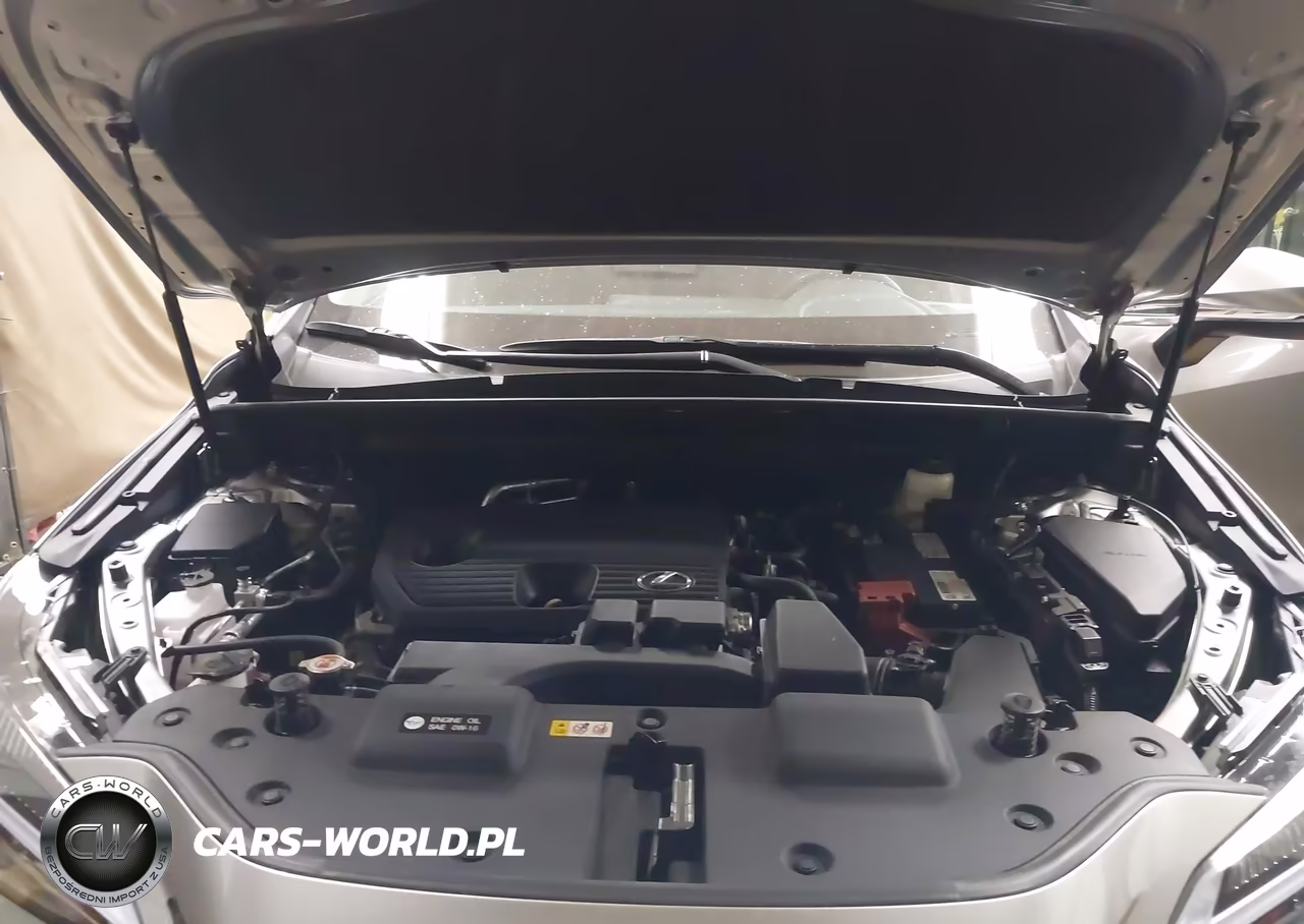 2023 Lexus Nx 250 VIN:2T2ADCAZ7PC003108 - 10