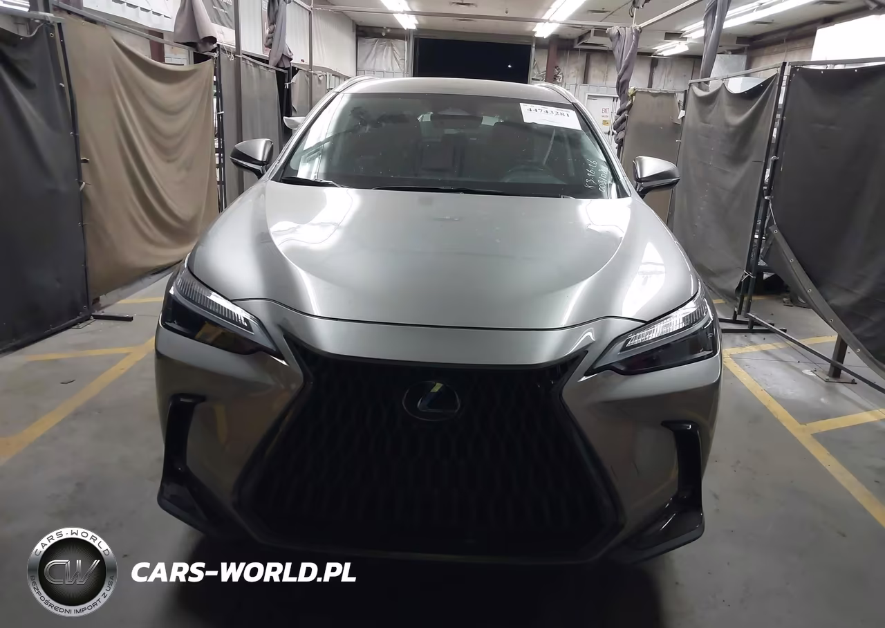 2023 Lexus Nx 250 VIN:2T2ADCAZ7PC003108 - 12