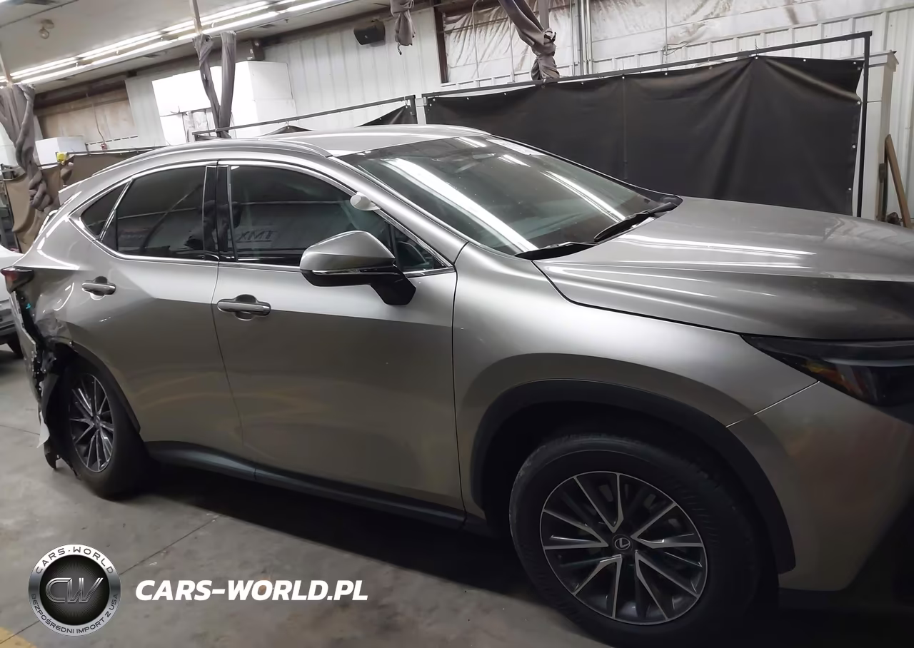 2023 Lexus Nx 250 VIN:2T2ADCAZ7PC003108 - 13