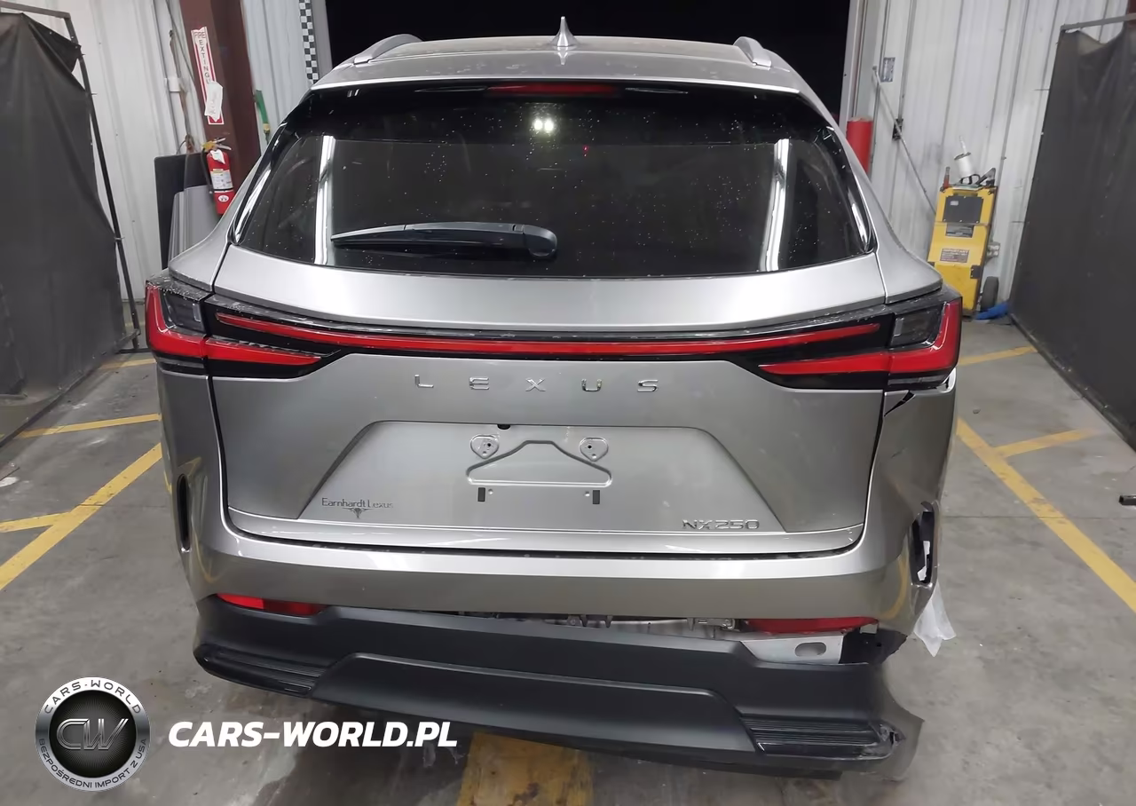 2023 Lexus Nx 250 VIN:2T2ADCAZ7PC003108 - 16