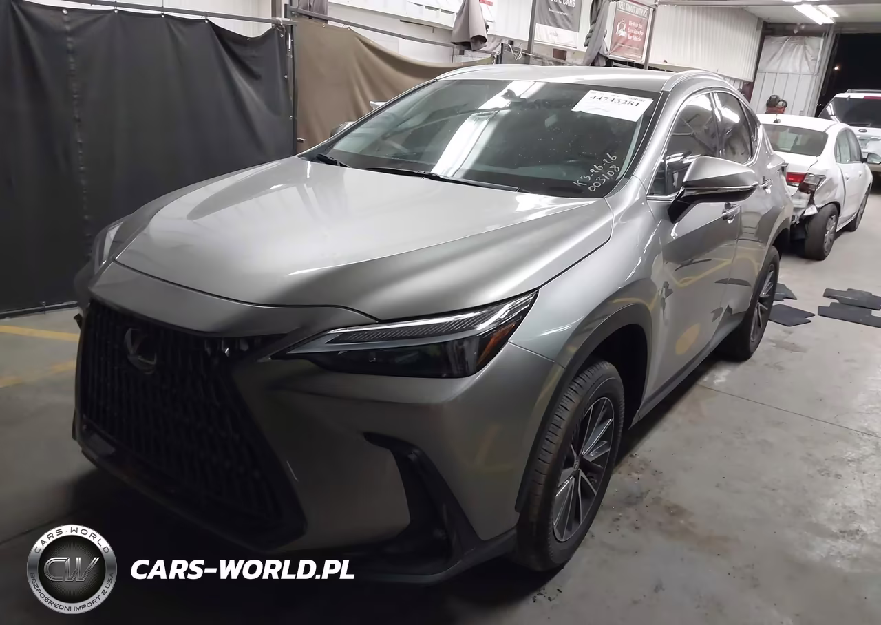 2023 Lexus Nx 250 VIN:2T2ADCAZ7PC003108 - 2