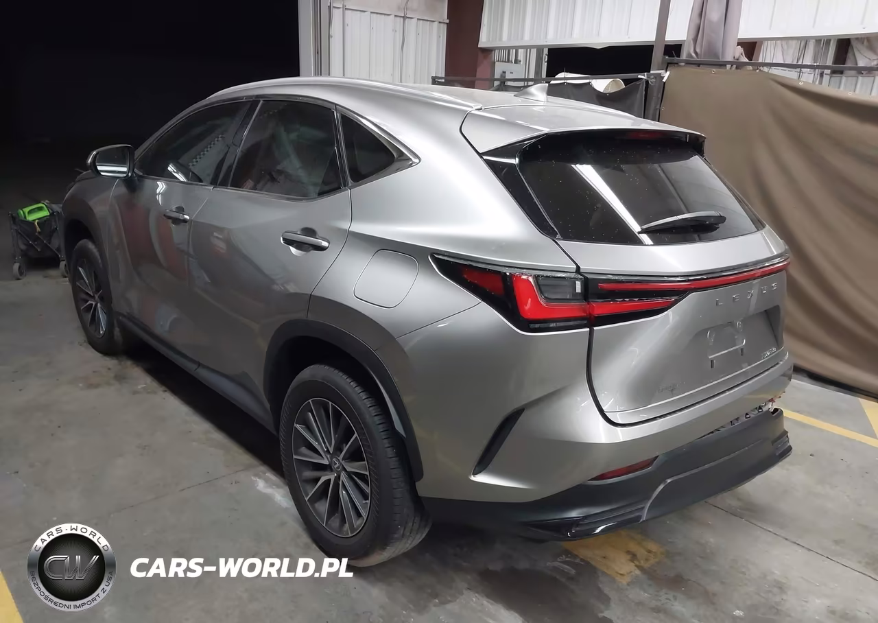 2023 Lexus Nx 250 VIN:2T2ADCAZ7PC003108 - 3