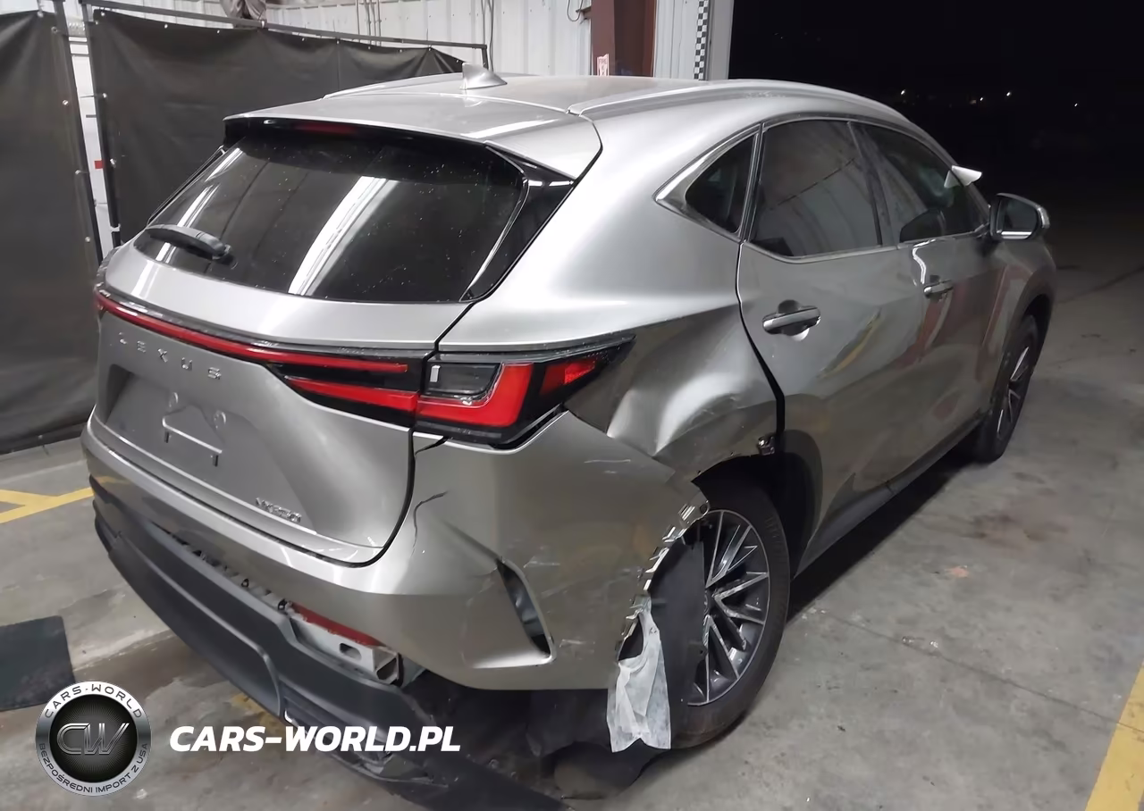 2023 Lexus Nx 250 VIN:2T2ADCAZ7PC003108 - 4