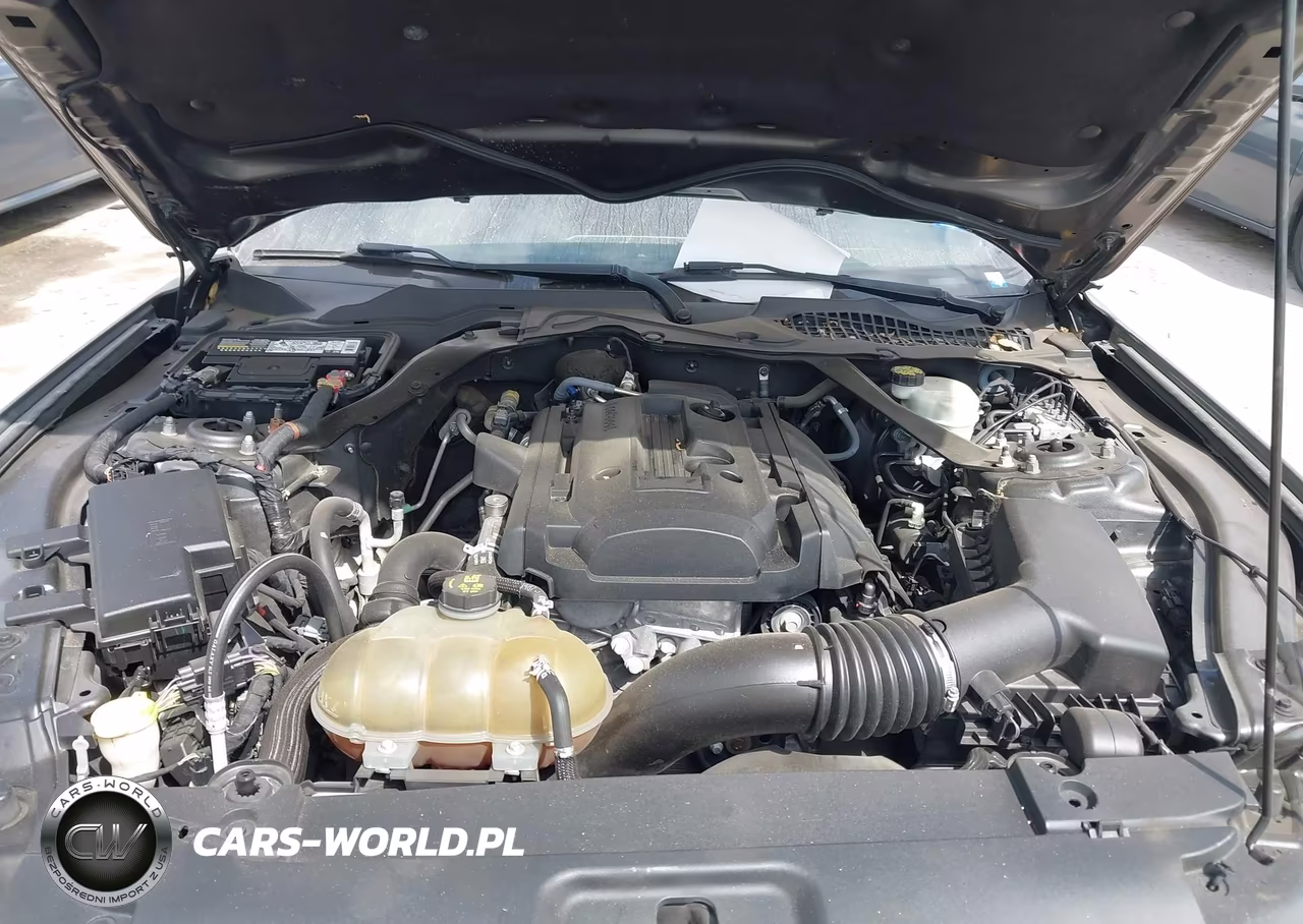 2017 Ford Mustang Ecoboost Premium VIN:1FATP8UH1H5295265 - 10