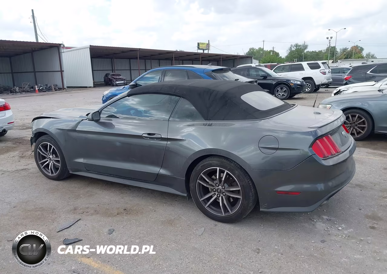 2017 Ford Mustang Ecoboost Premium VIN:1FATP8UH1H5295265 - 14