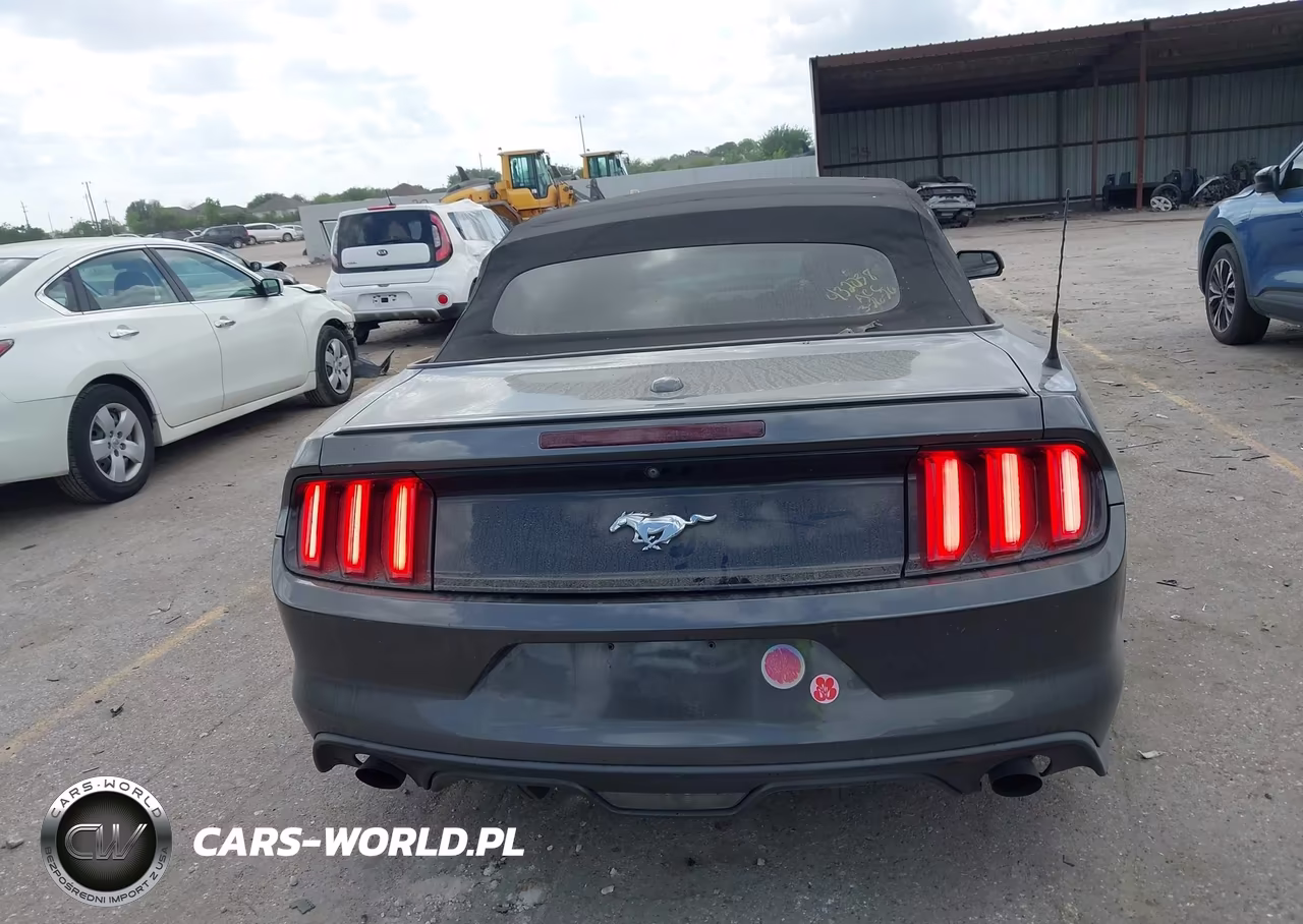 2017 Ford Mustang Ecoboost Premium VIN:1FATP8UH1H5295265 - 16