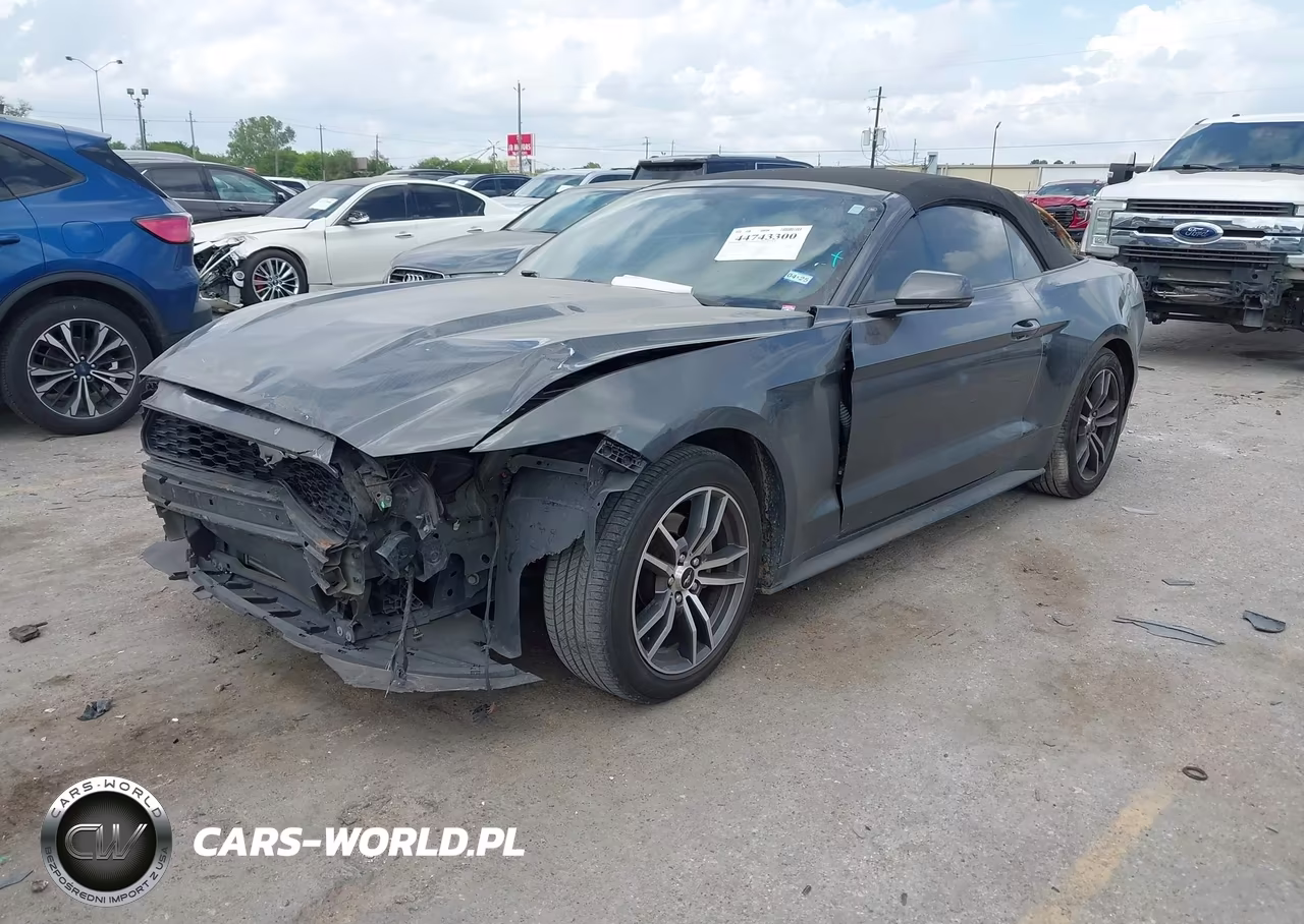 2017 Ford Mustang Ecoboost Premium VIN:1FATP8UH1H5295265 - 2