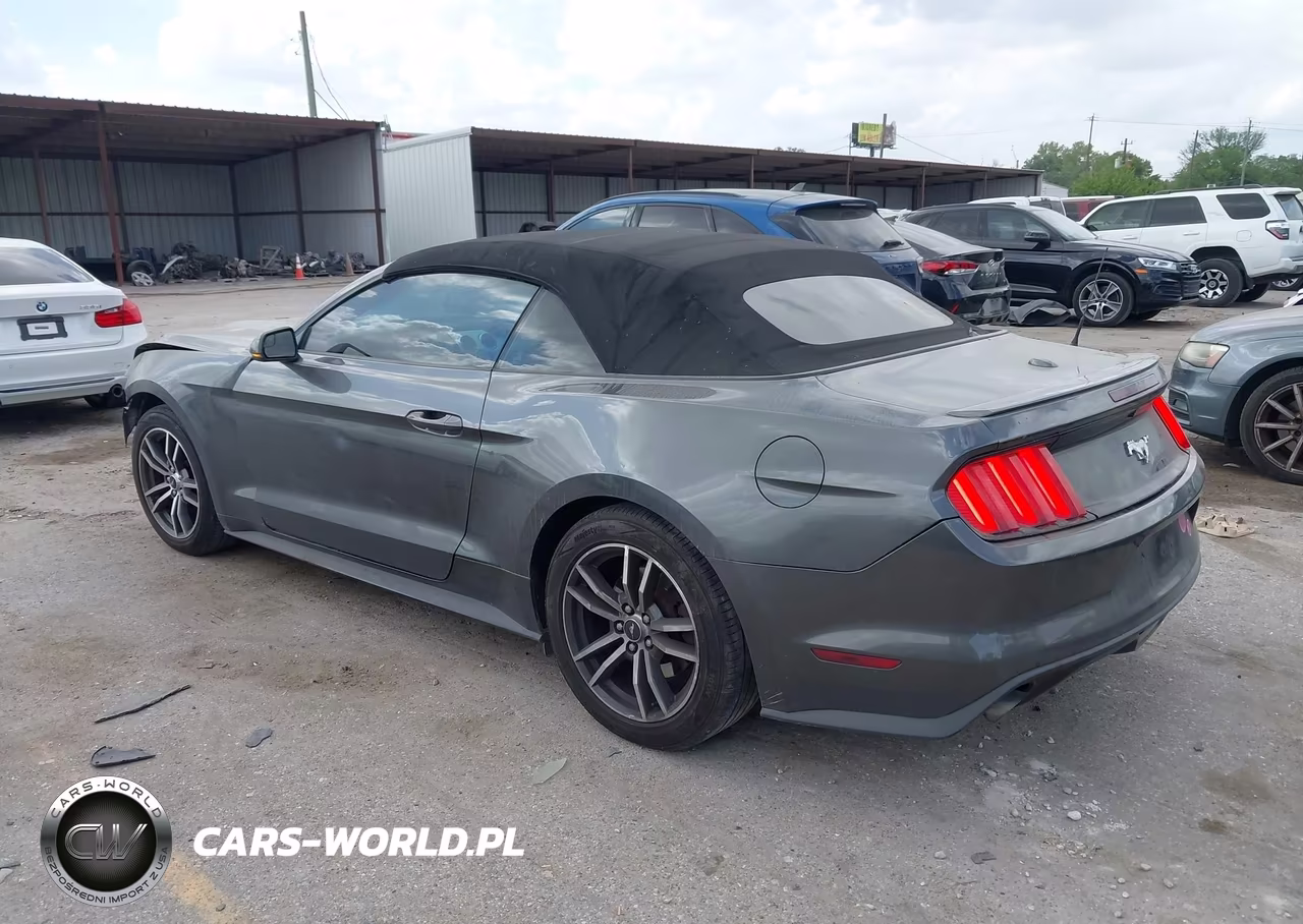 2017 Ford Mustang Ecoboost Premium VIN:1FATP8UH1H5295265 - 3