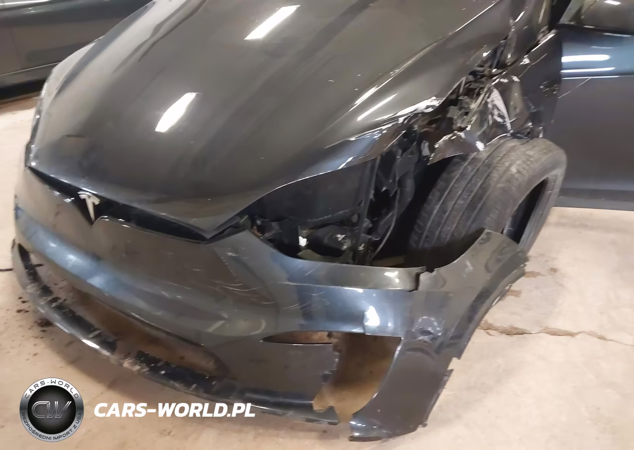 2024 Tesla Model X Long Range VIN:7SAXCDE57RF443443 - 6