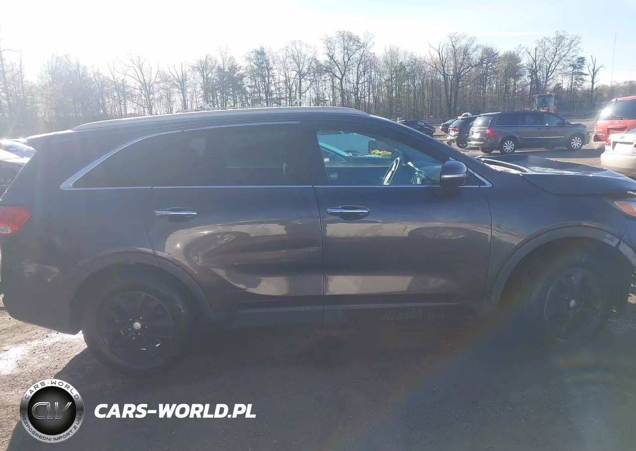 2017 Kia Sorento 2.4L Lx VIN:5XYPG4A38HG220521 - 12