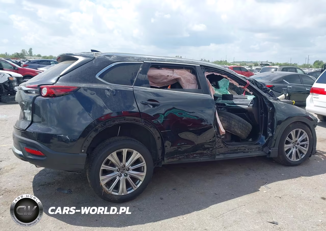 2021 Mazda Cx-9 Signature VIN:JM3TCBEY7M0519834 - 12