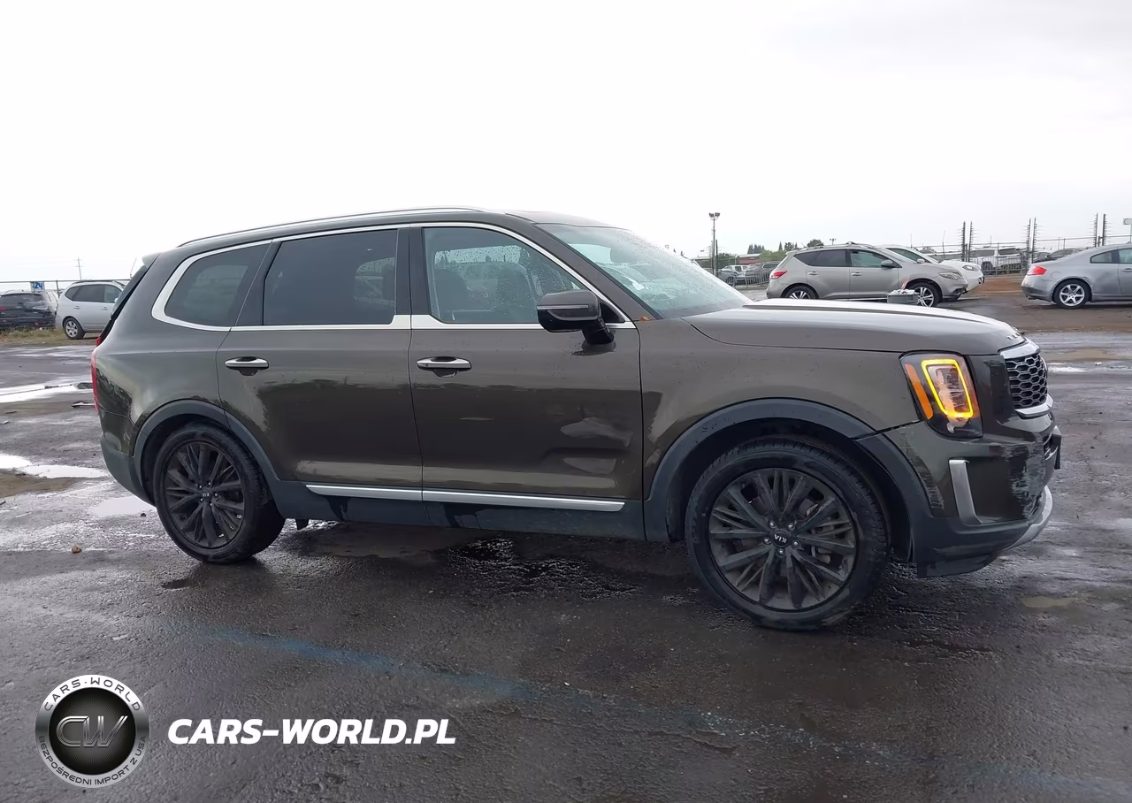 2020 Kia Telluride Sx VIN:5XYP54HC8LG010912 - 13