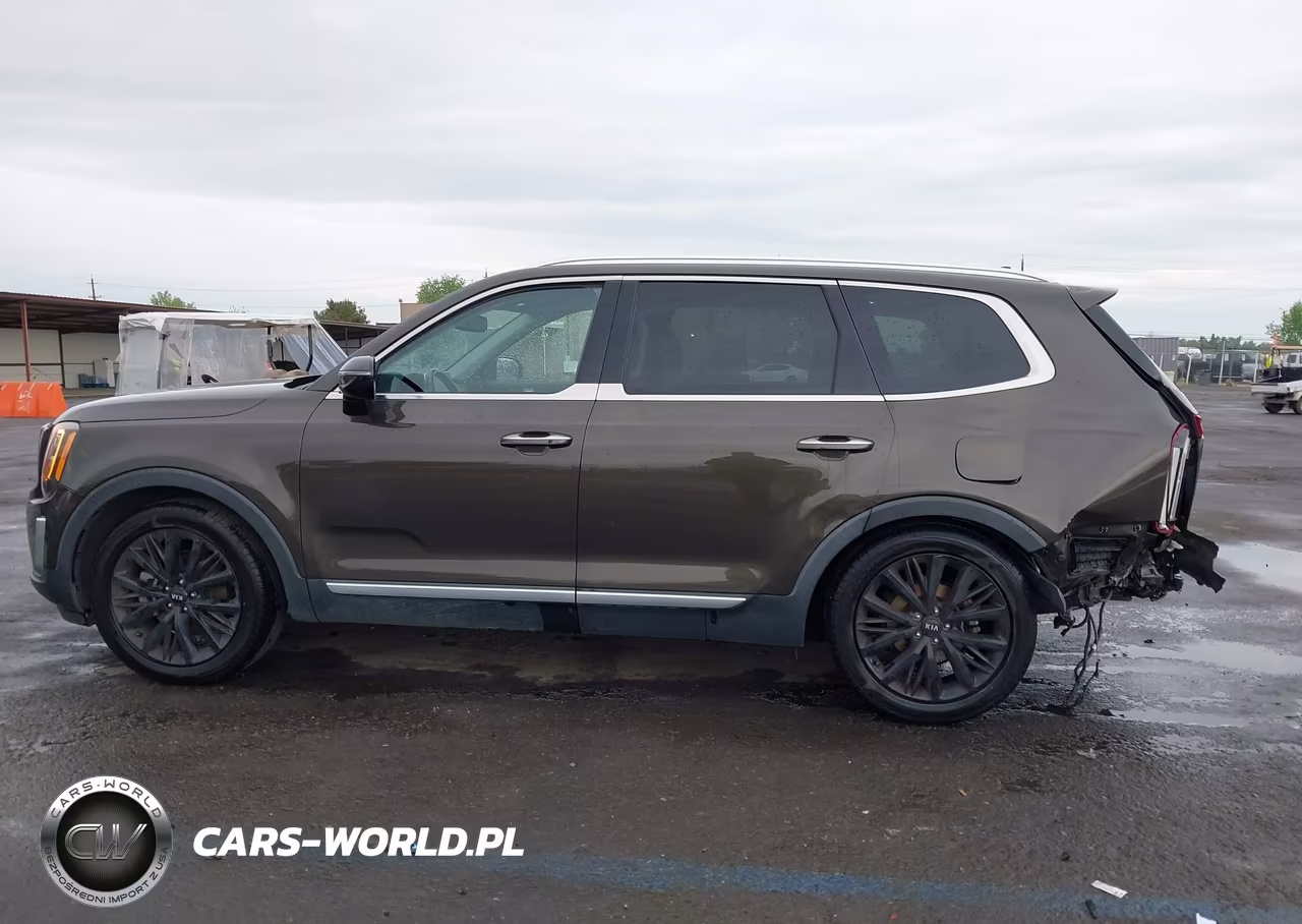 2020 Kia Telluride Sx VIN:5XYP54HC8LG010912 - 14