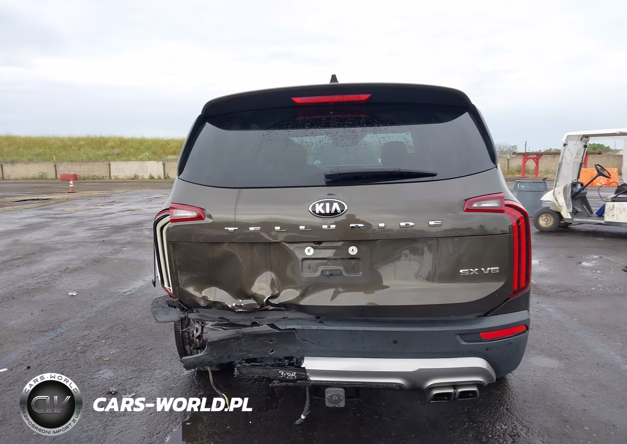 2020 Kia Telluride Sx VIN:5XYP54HC8LG010912 - 16