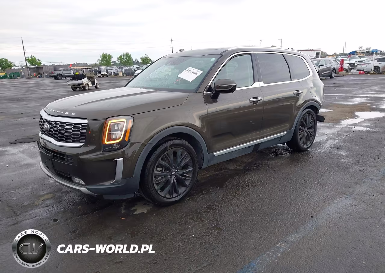 2020 Kia Telluride Sx VIN:5XYP54HC8LG010912 - 2
