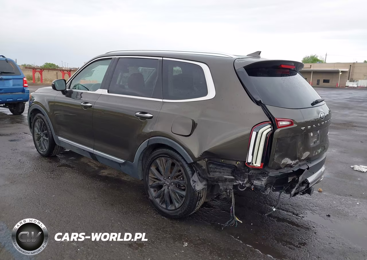 2020 Kia Telluride Sx VIN:5XYP54HC8LG010912 - 3