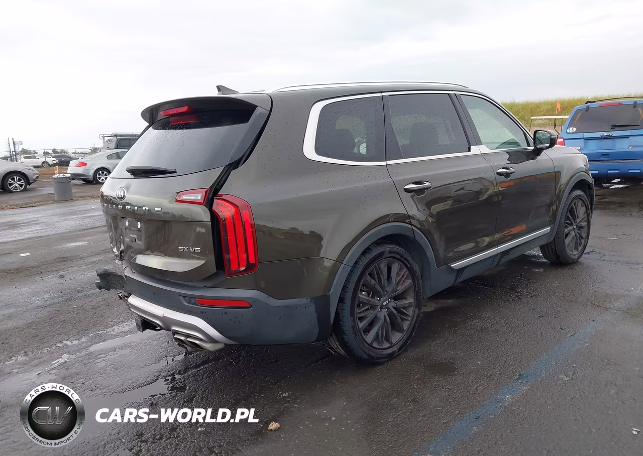 2020 Kia Telluride Sx VIN:5XYP54HC8LG010912 - 4
