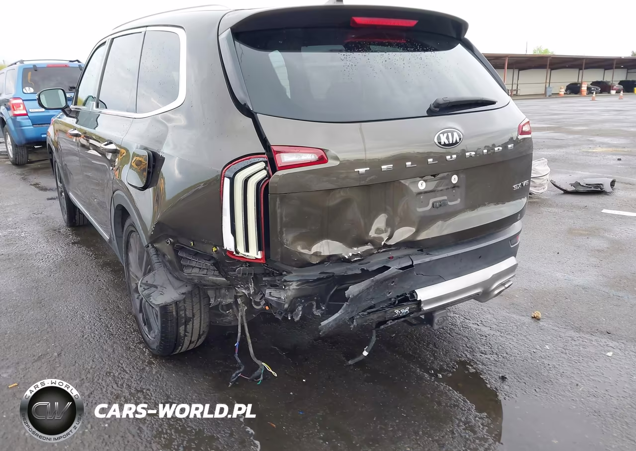 2020 Kia Telluride Sx VIN:5XYP54HC8LG010912 - 6