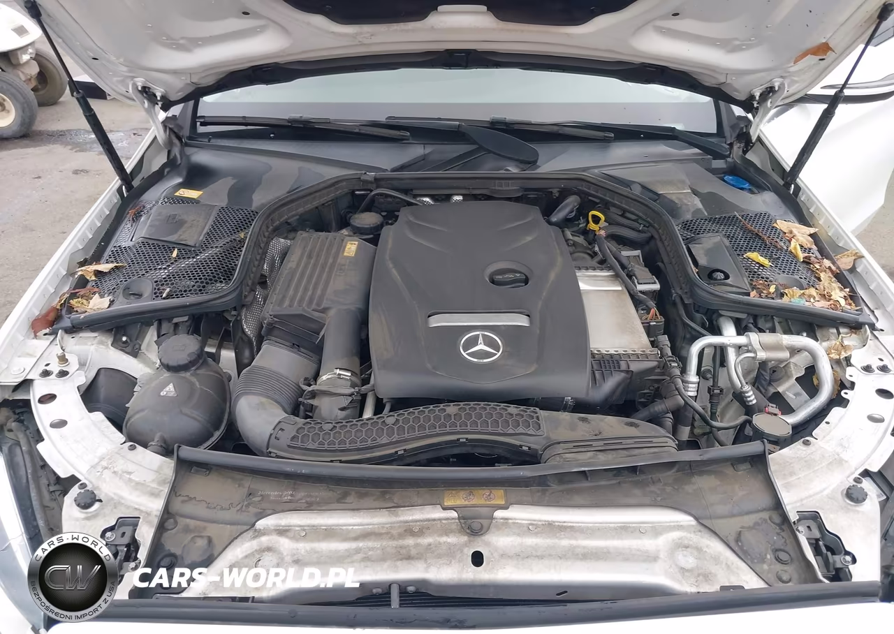 2016 Mercedes-Benz C 300 VIN:55SWF4JB4GU143639 - 10