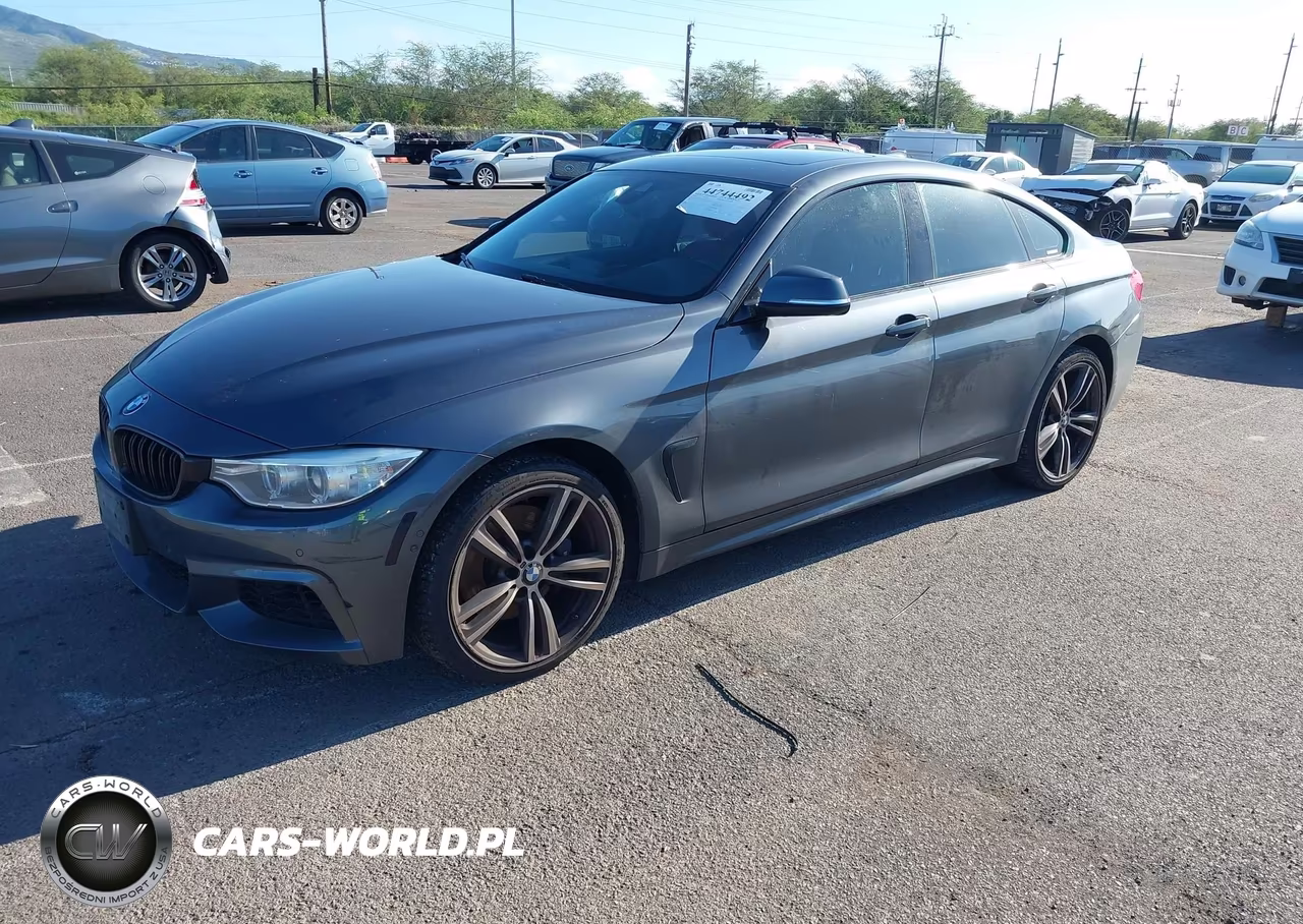 2016 BMW 428I Gran Coupe xDrive VIN:WBA4C9C54GG139602 - 2