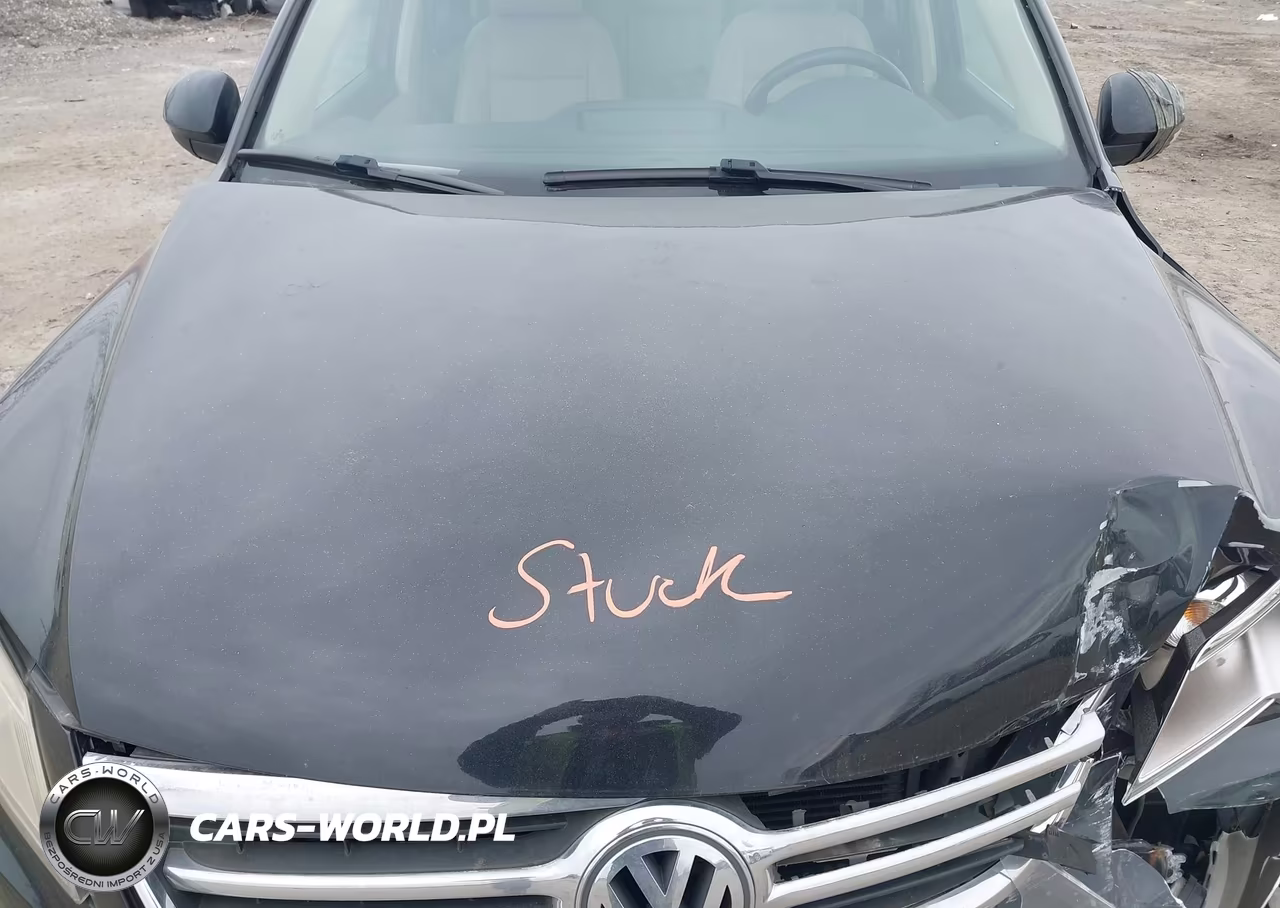 2009 Volkswagen Tiguan Sel VIN:WVGBV75N39W535451 - 10