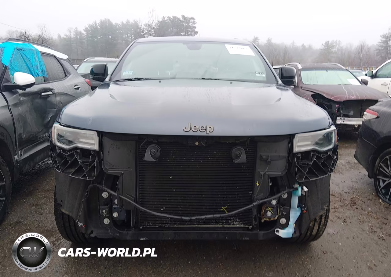 2019 Jeep Grand Cherokee Limited X 4X4 VIN:1C4RJFBG8KC701940 - 13