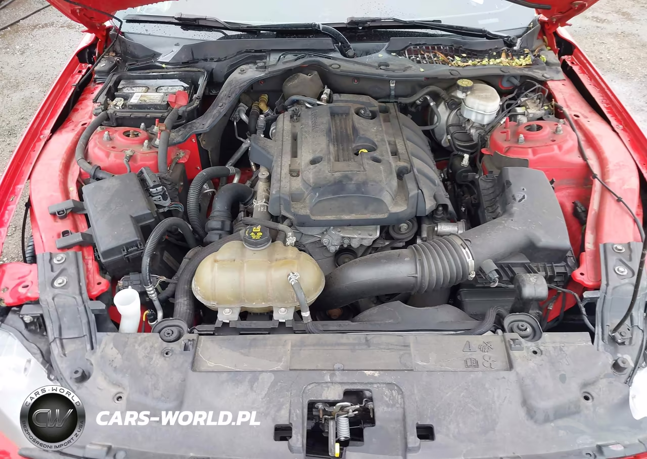 2019 Ford Mustang Ecoboost VIN:1FA6P8TH2K5161094 - 10