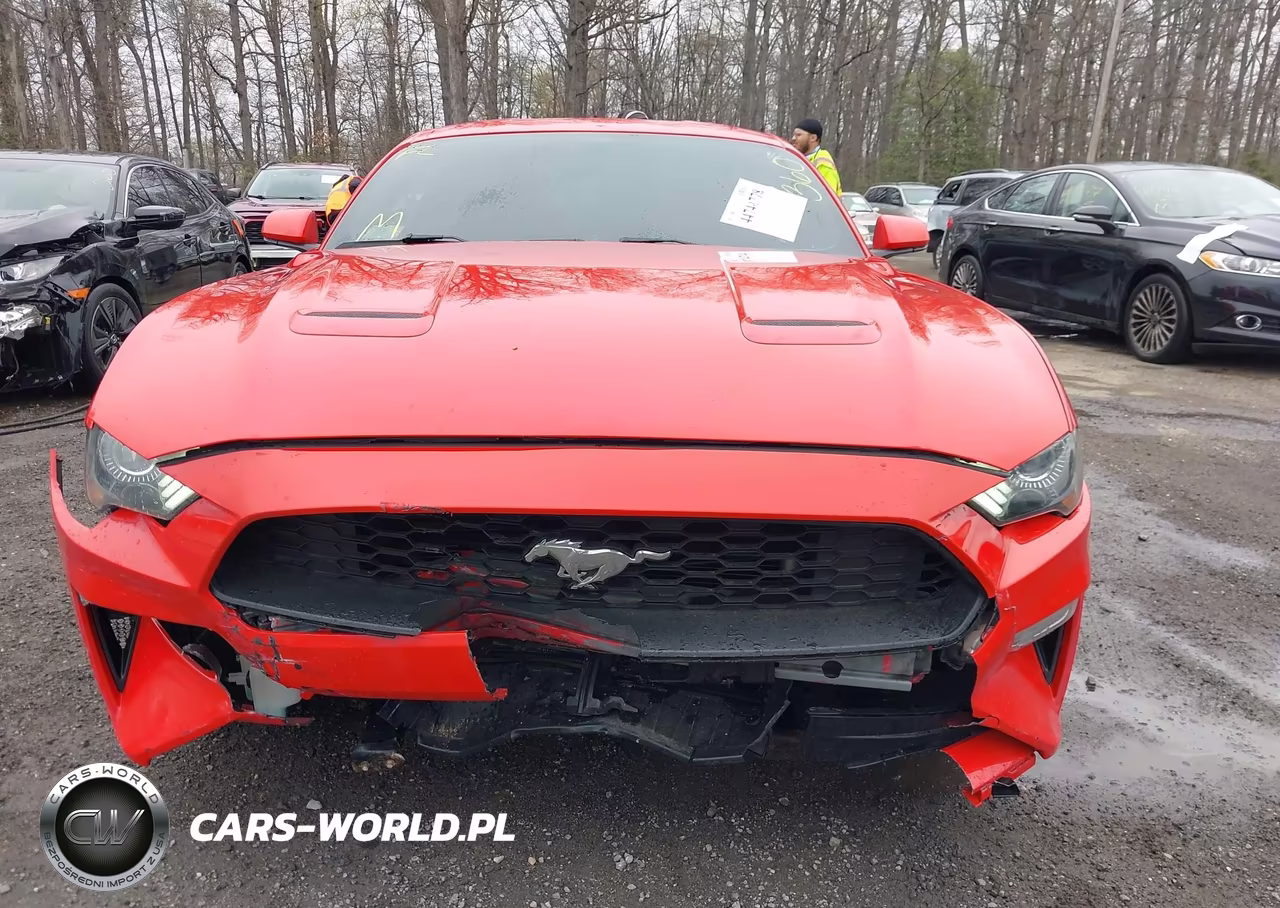 2019 Ford Mustang Ecoboost VIN:1FA6P8TH2K5161094 - 13