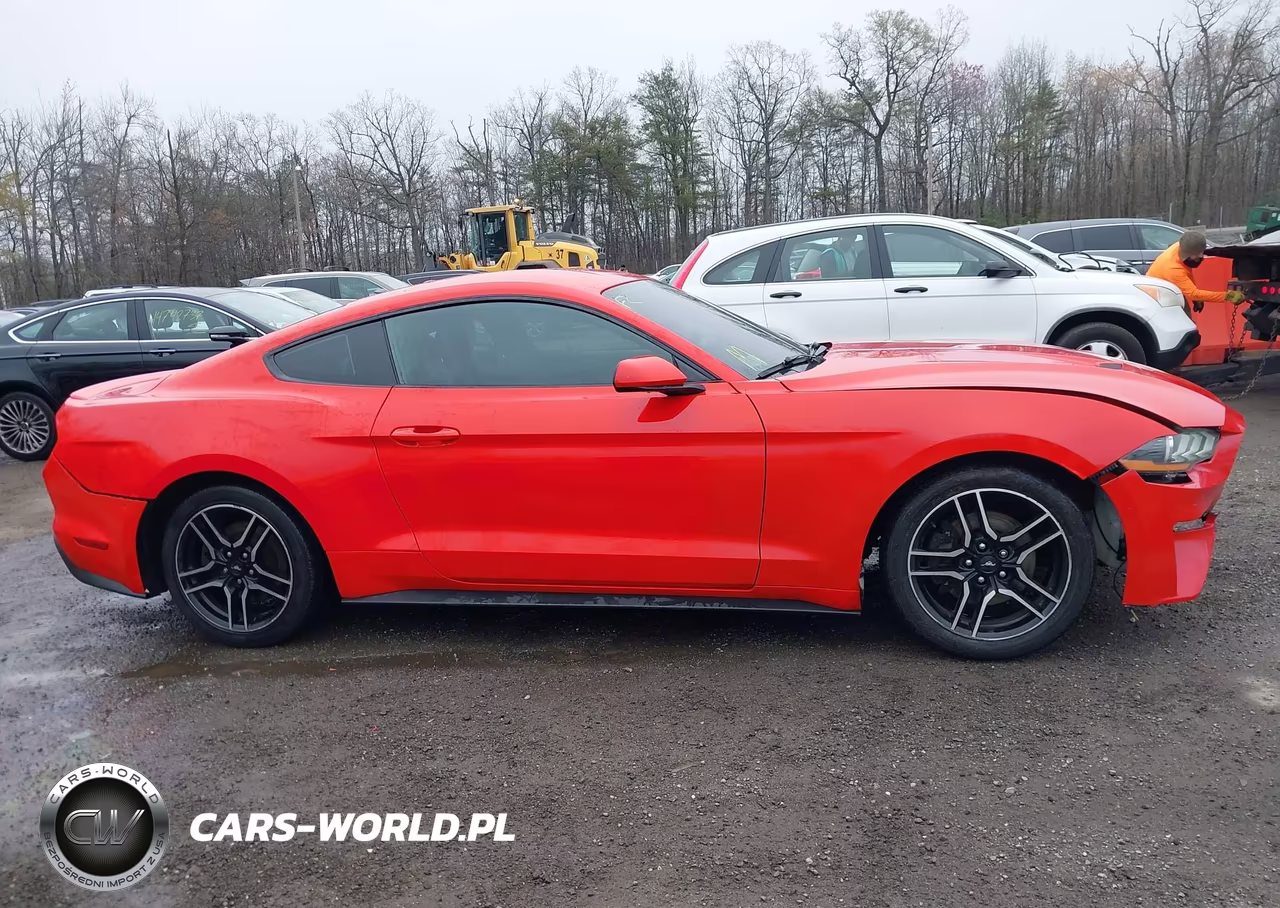 2019 Ford Mustang Ecoboost VIN:1FA6P8TH2K5161094 - 14