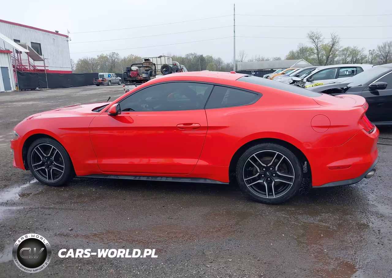 2019 Ford Mustang Ecoboost VIN:1FA6P8TH2K5161094 - 15