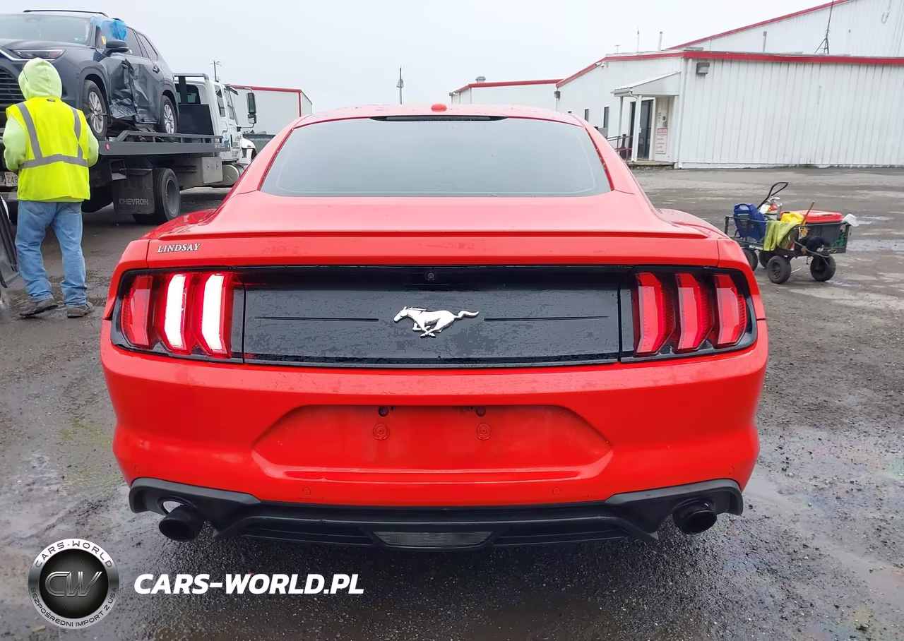 2019 Ford Mustang Ecoboost VIN:1FA6P8TH2K5161094 - 17