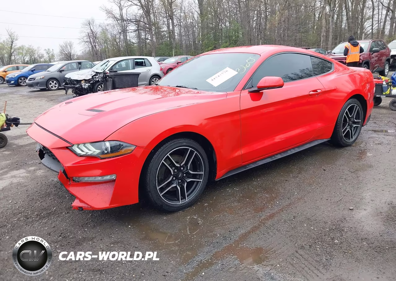 2019 Ford Mustang Ecoboost VIN:1FA6P8TH2K5161094 - 2