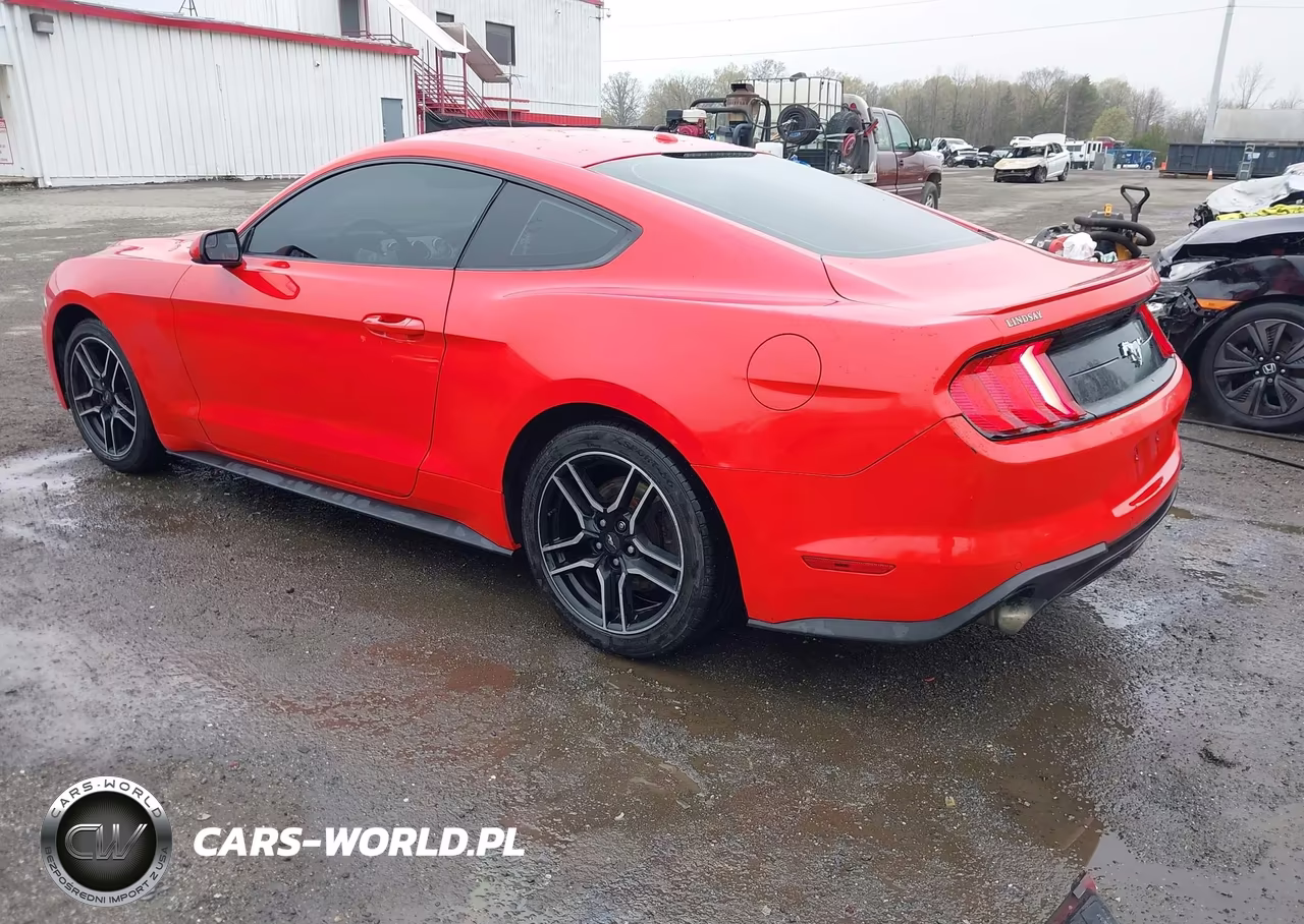 2019 Ford Mustang Ecoboost VIN:1FA6P8TH2K5161094 - 3