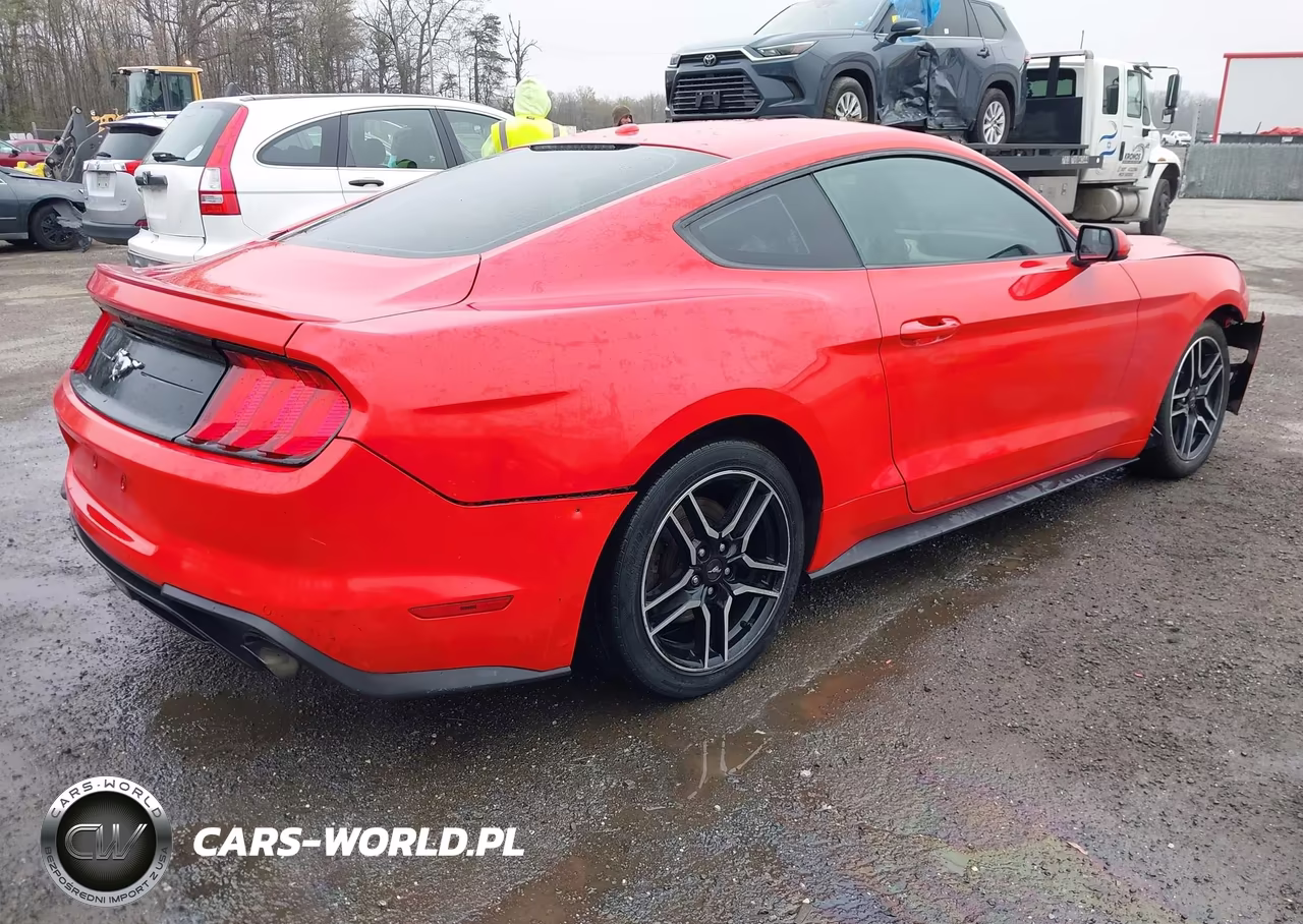 2019 Ford Mustang Ecoboost VIN:1FA6P8TH2K5161094 - 4