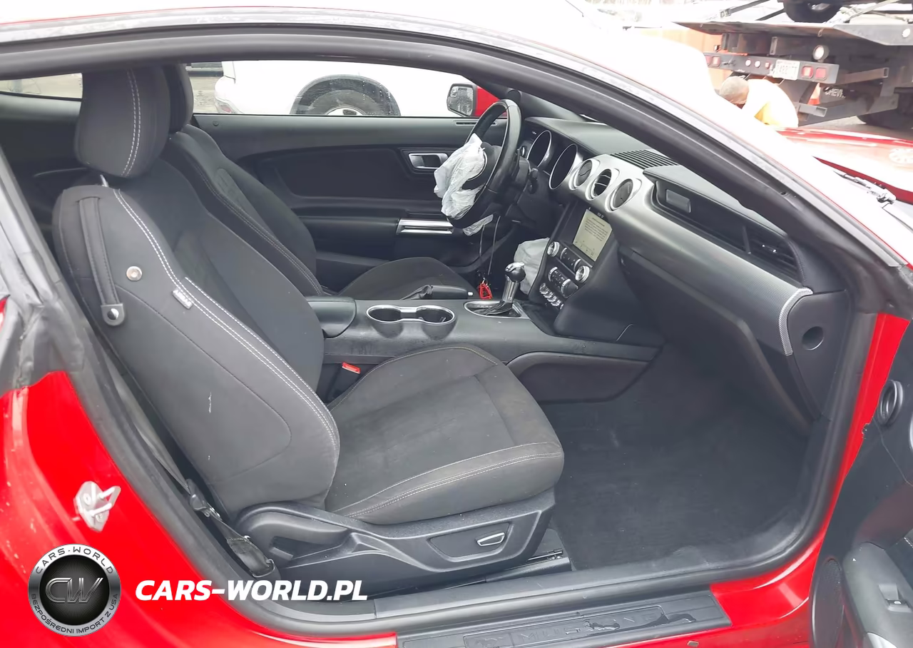 2019 Ford Mustang Ecoboost VIN:1FA6P8TH2K5161094 - 5