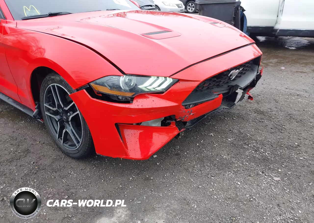 2019 Ford Mustang Ecoboost VIN:1FA6P8TH2K5161094 - 6
