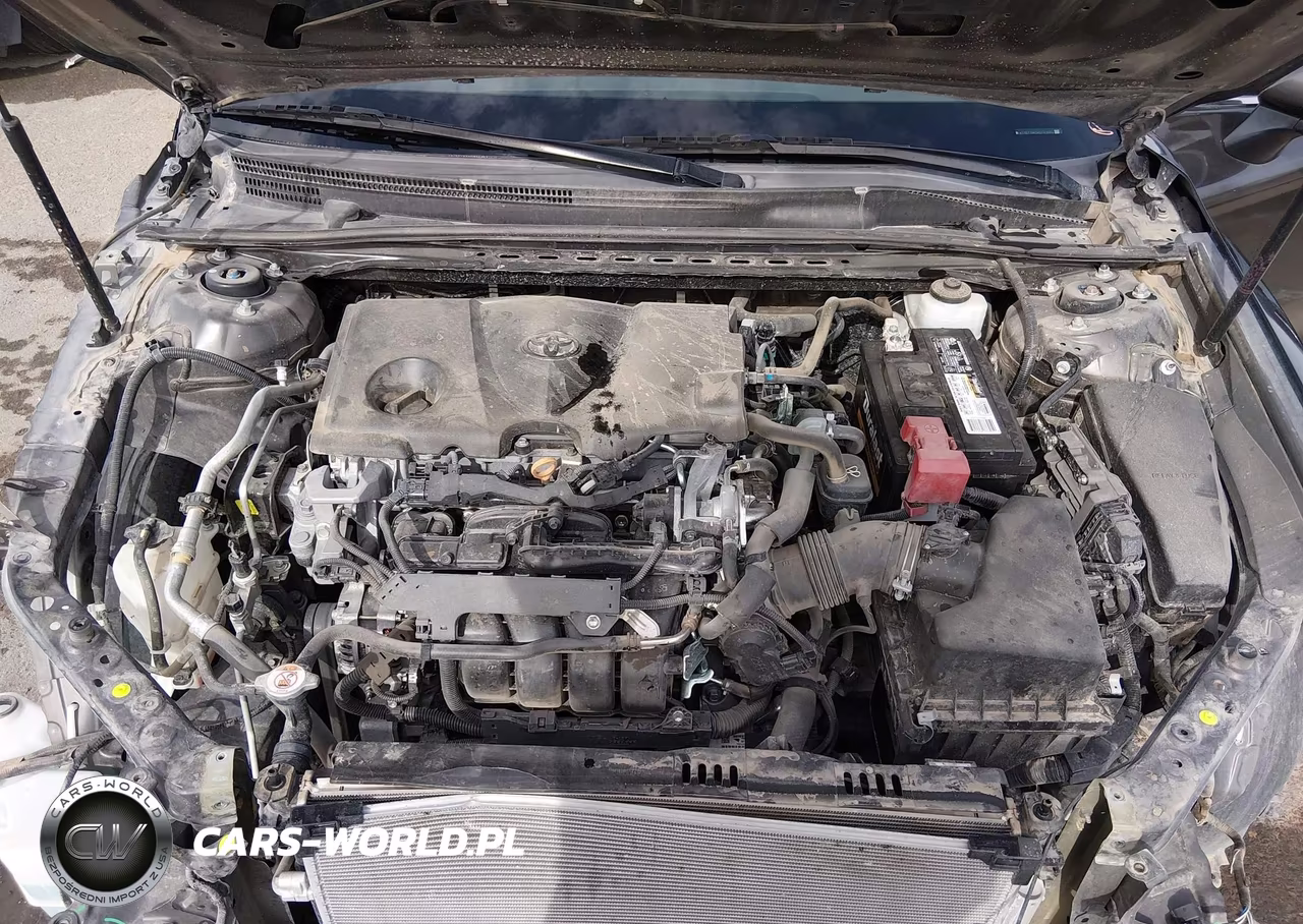 2019 Toyota Camry Le VIN:4T1B11HK5KU743553 - 10