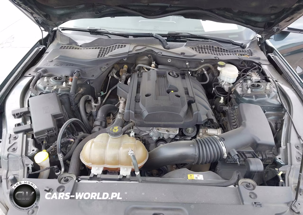 2015 Ford Mustang Ecoboost VIN:1FA6P8TH7F5310654 - 10