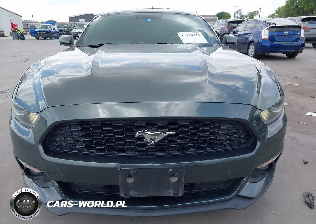 2015 Ford Mustang Ecoboost VIN:1FA6P8TH7F5310654 - 12