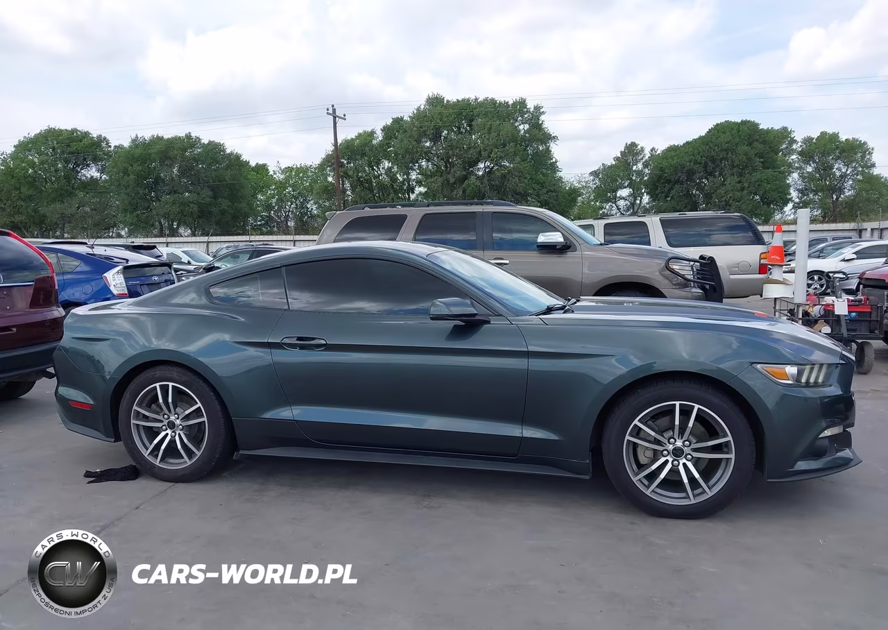 2015 Ford Mustang Ecoboost VIN:1FA6P8TH7F5310654 - 13