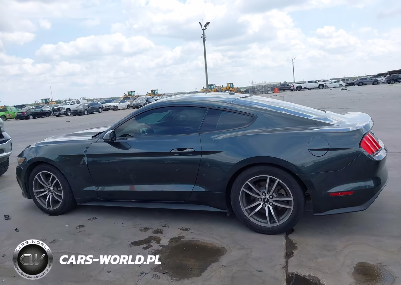 2015 Ford Mustang Ecoboost VIN:1FA6P8TH7F5310654 - 14