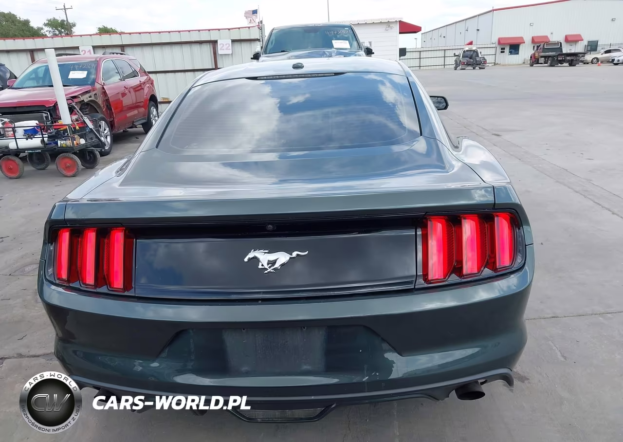 2015 Ford Mustang Ecoboost VIN:1FA6P8TH7F5310654 - 16