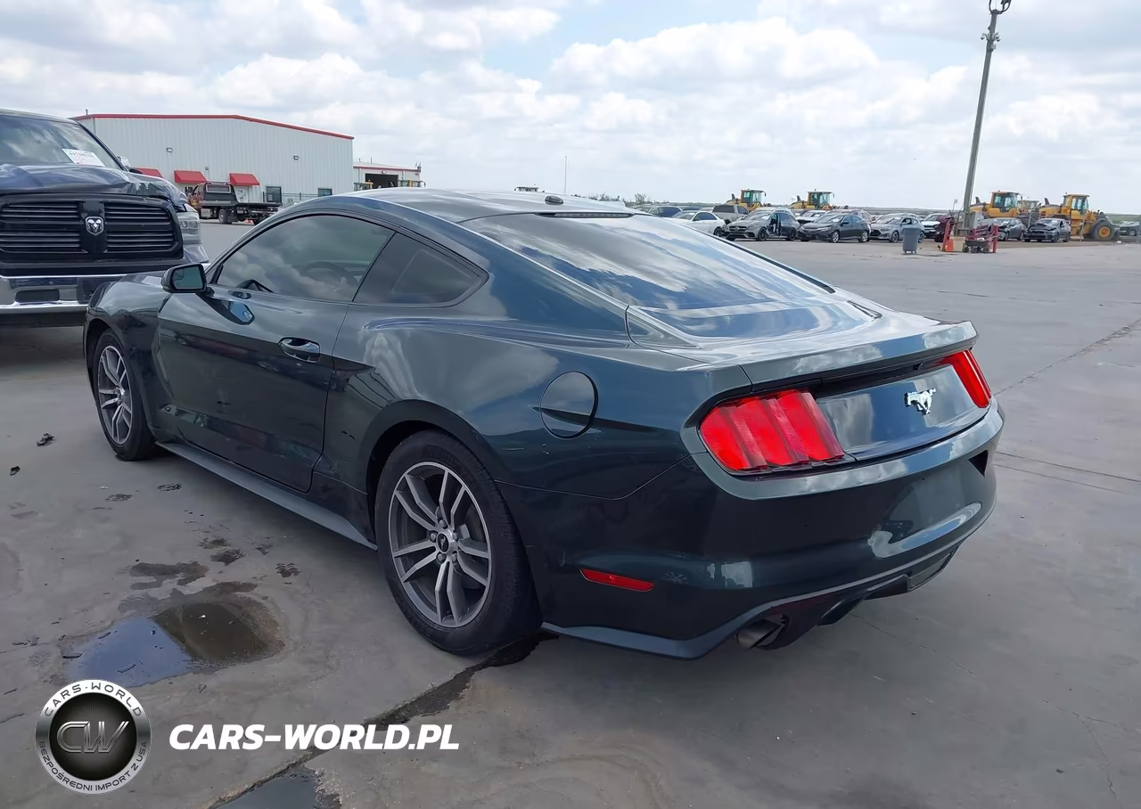 2015 Ford Mustang Ecoboost VIN:1FA6P8TH7F5310654 - 3